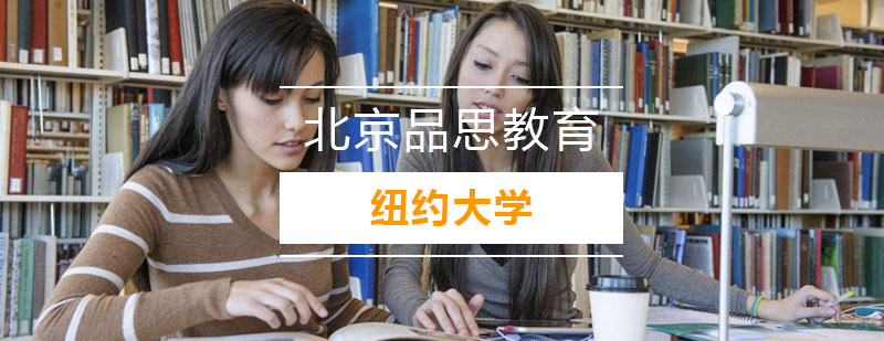 纽约大学校园全景