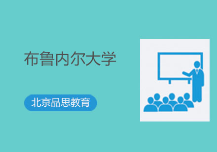 布鲁内尔大学