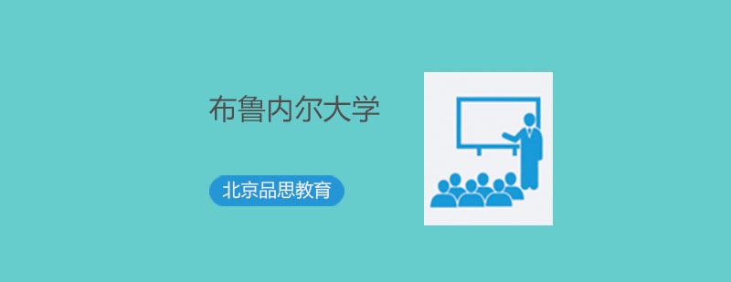 布鲁内尔大学主校区