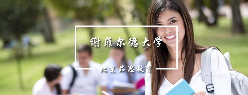 谢菲尔德大学主校区