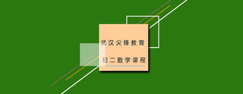 武汉尖锋初二数学辅导班