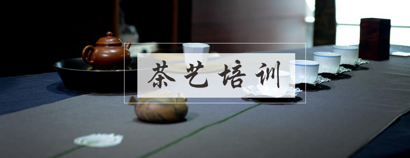 茶艺实操教学