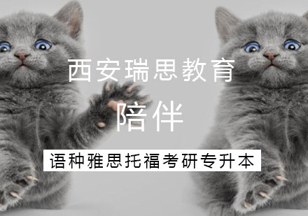 家庭教育指南：四类父亲教育模式深度解析