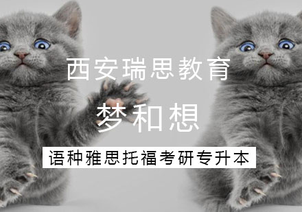 儿童财商启蒙新视角：瑞思学科英语的价值观培育实践