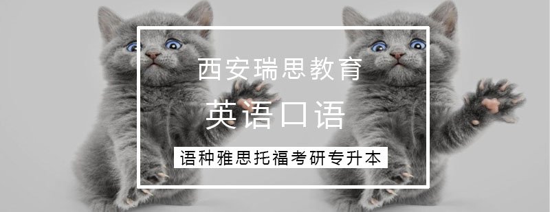 英语教学改革实践
