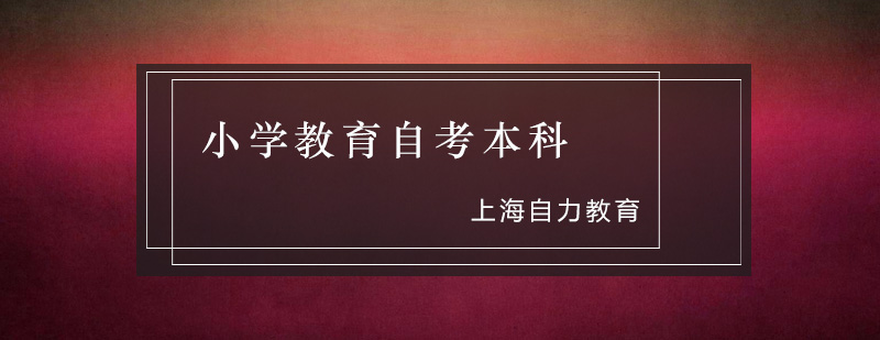 学历提升教学现场