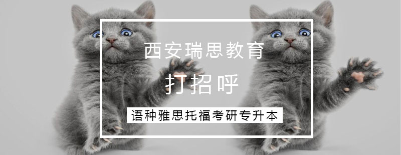 儿童社交能力培养