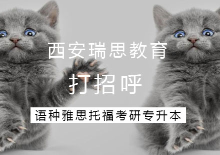 儿童社交能力培养指南：西安瑞思学科英语深度解析