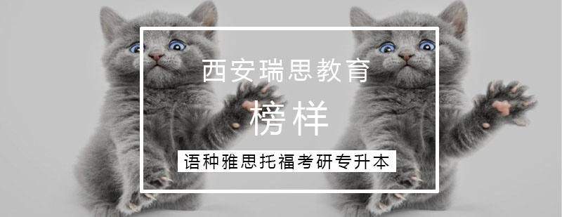 教育沟通场景示意图