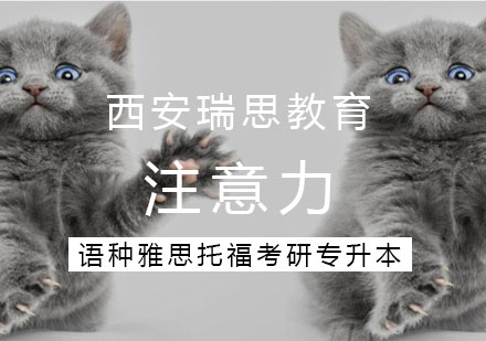 儿童专注力培养三大核心策略