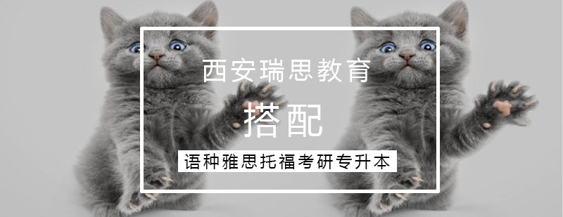 儿童审美培养示意图