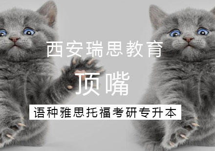 科学应对亲子沟通难题：解析孩子顶嘴背后的教育智慧