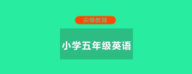 武汉尖锋小学五年级英语辅导班