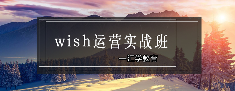 wish运营实战班