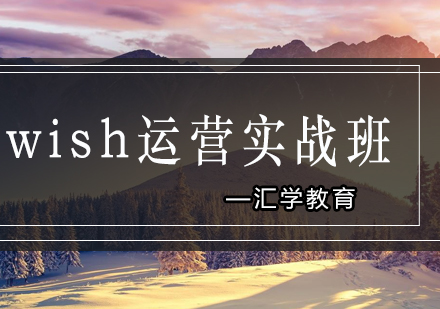 汇学wish运营实战班