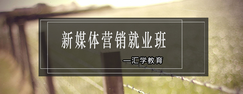 新媒体营销班