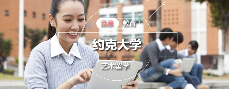 约克大学校园全景