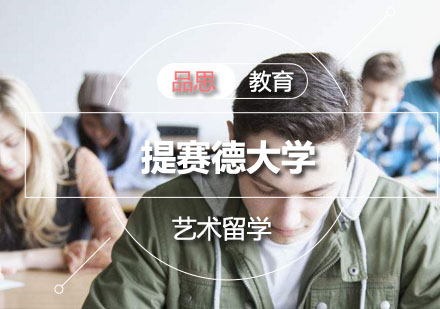 提赛德大学