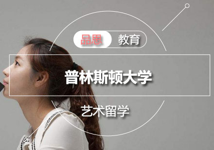普林斯顿大学