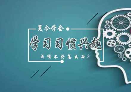 科学提升孩子学业表现的实践指南