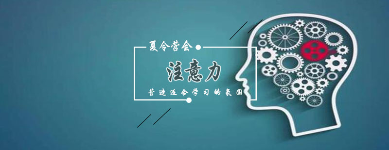 专注力训练场景