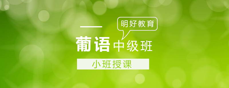 葡语中级课程教学现场