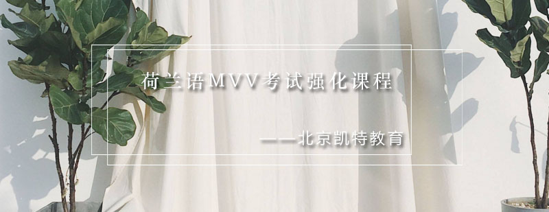 荷兰语MVV考试强化课程