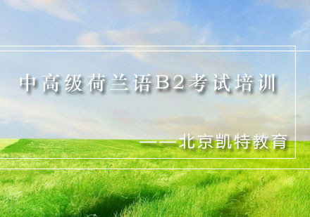 中高级荷兰语B2考试培训课程