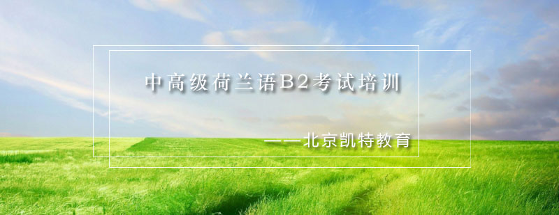 荷兰语B2课程教学场景