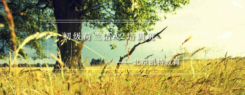荷兰语A2课程实景