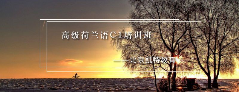荷兰语C1培训课堂实景
