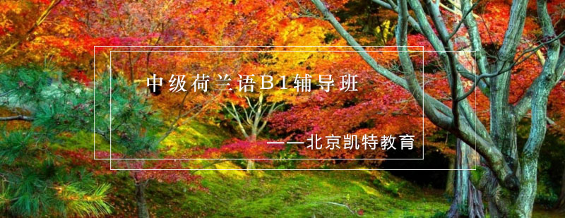 荷兰语课堂实景