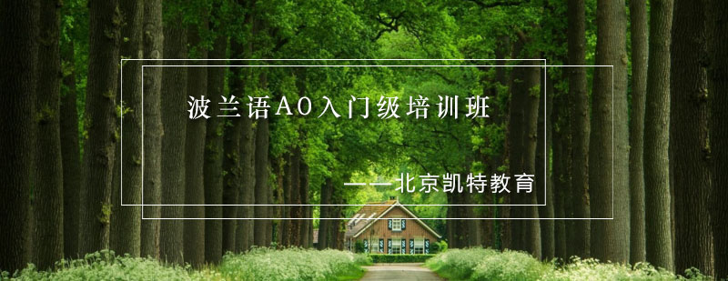 波兰语课堂实景