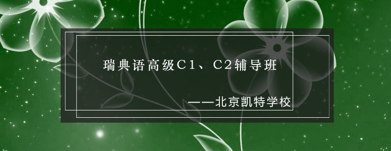 瑞典语高级课程教学实景