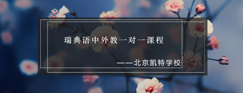 瑞典语定制课程