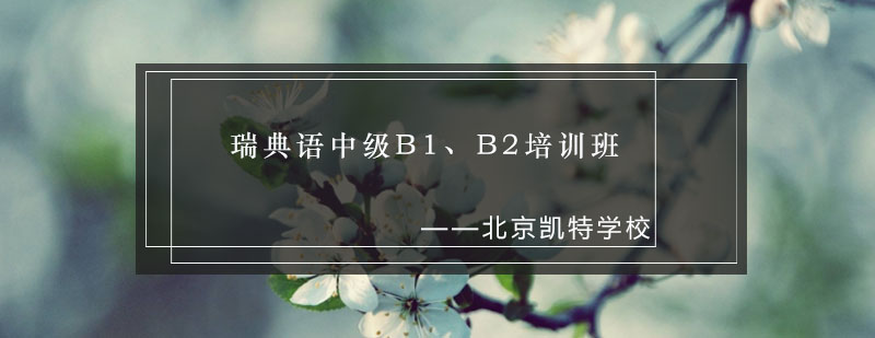 瑞典语中级课程教学现场