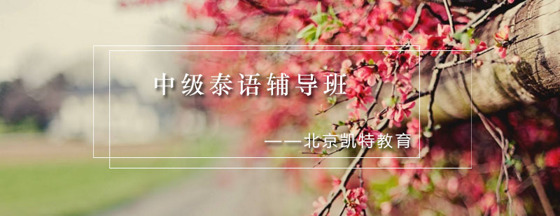 泰语课程教学实景