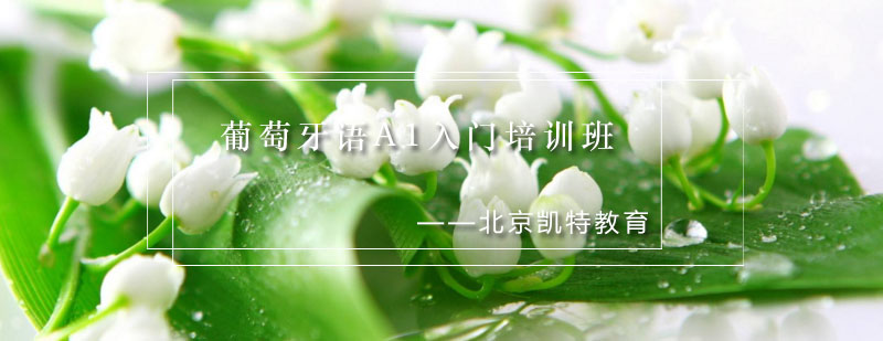 葡语课堂实景