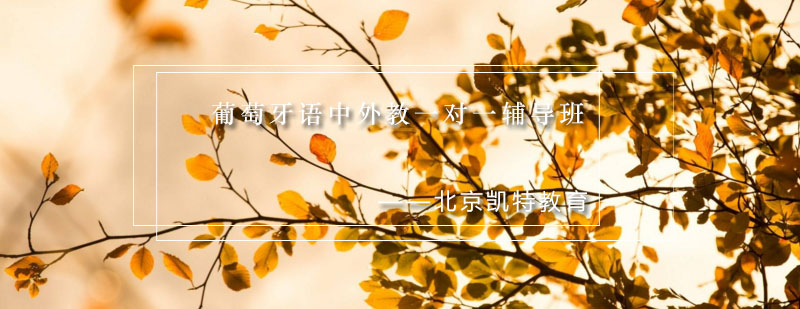 个性化葡语教学场景