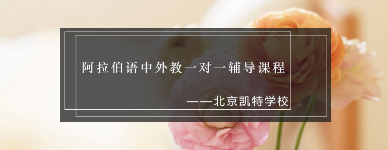 阿拉伯语定制课程