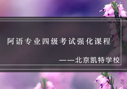 阿语专业四级考试强化课程