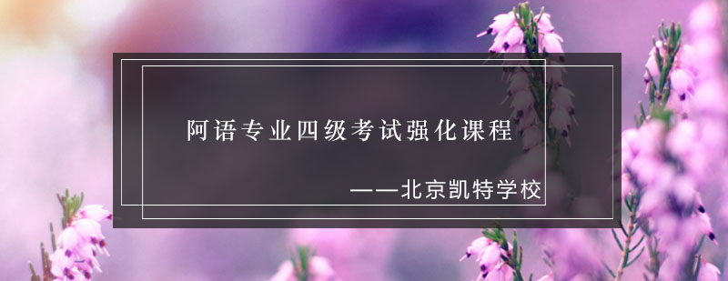 阿语四级强化课程体系