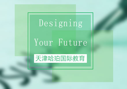 哈珀国际个人未来规划