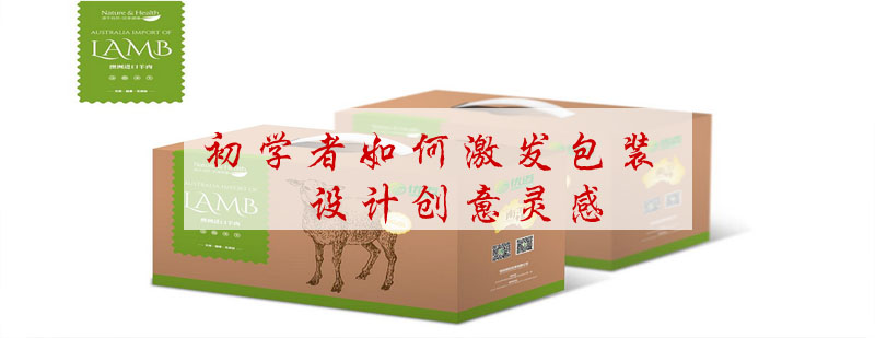 设计创意培养流程