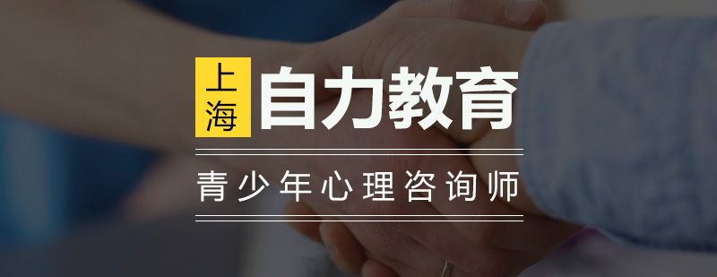 心理咨询师实践教学