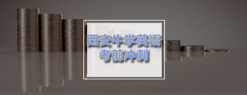 词汇记忆图谱