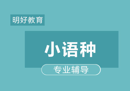 小语种培训全面解析与职业发展指南
