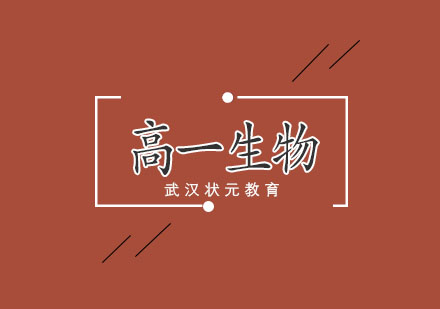 武汉高一生物1对1辅导班