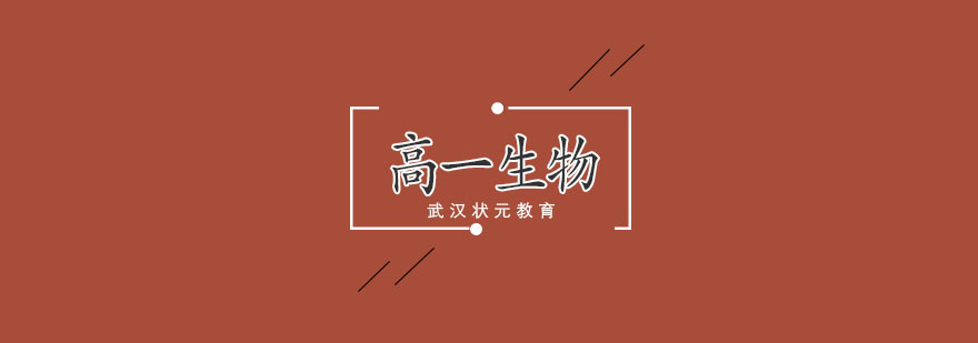 武汉高一生物专项辅导
