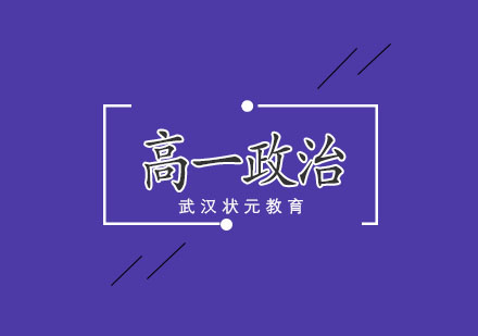武汉高一政治1对1精品班